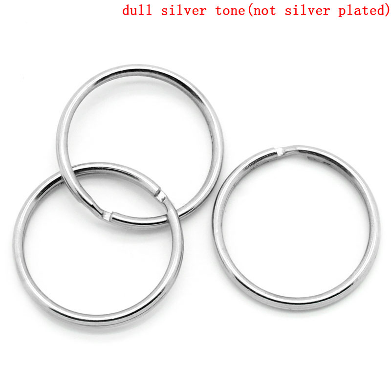 Picture of Iron Based Alloy Keychain & Keyring Round Silver Tone 25mm Dia, 50 PCs