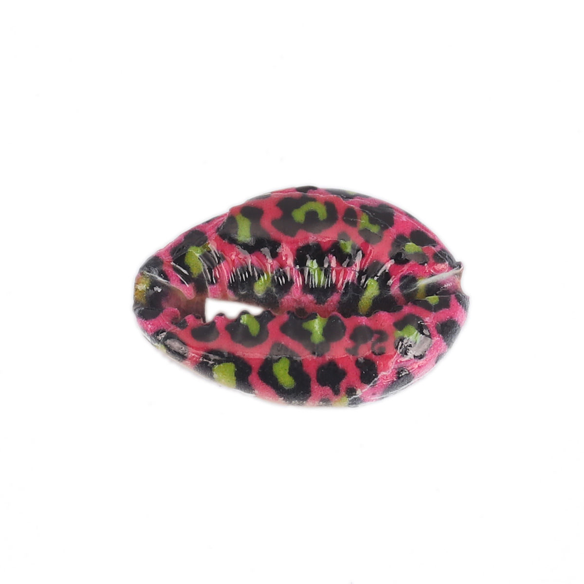 Picture of Natural Shell Loose Beads Conch/ Sea Snail Fuchsia & Black Leopard Print Pattern About 25mm x 17mm-18mm x 14mm, 10 PCs