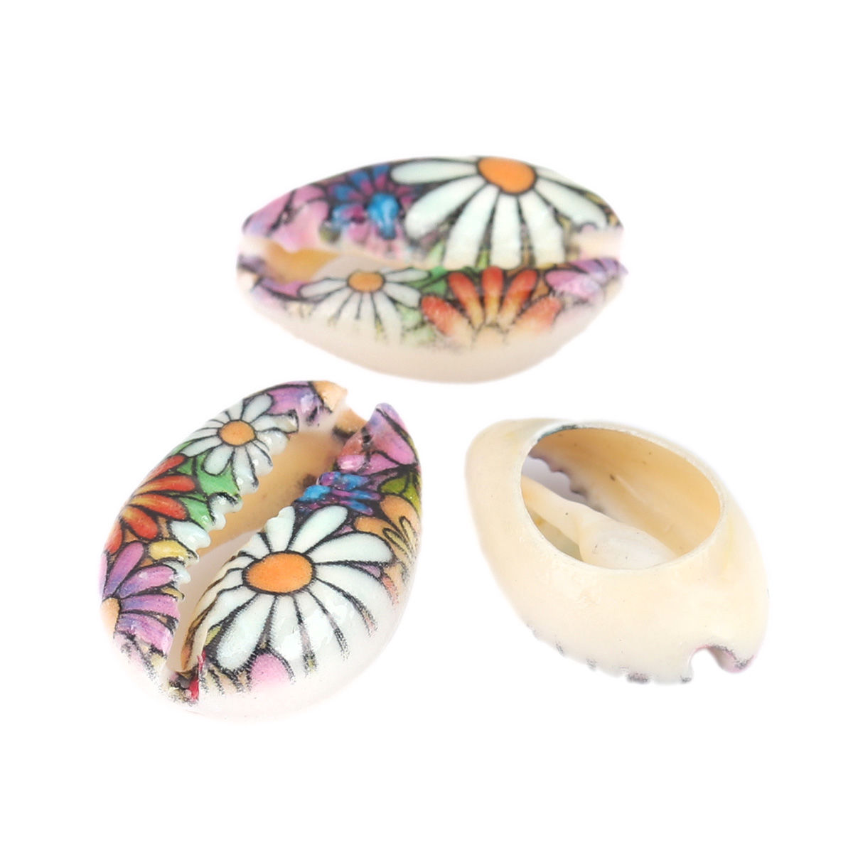 Picture of Natural Shell Loose Beads Conch/ Sea Snail Multicolor Flower Pattern About 20mm x 13mm-16mm x 12mm, 10 PCs