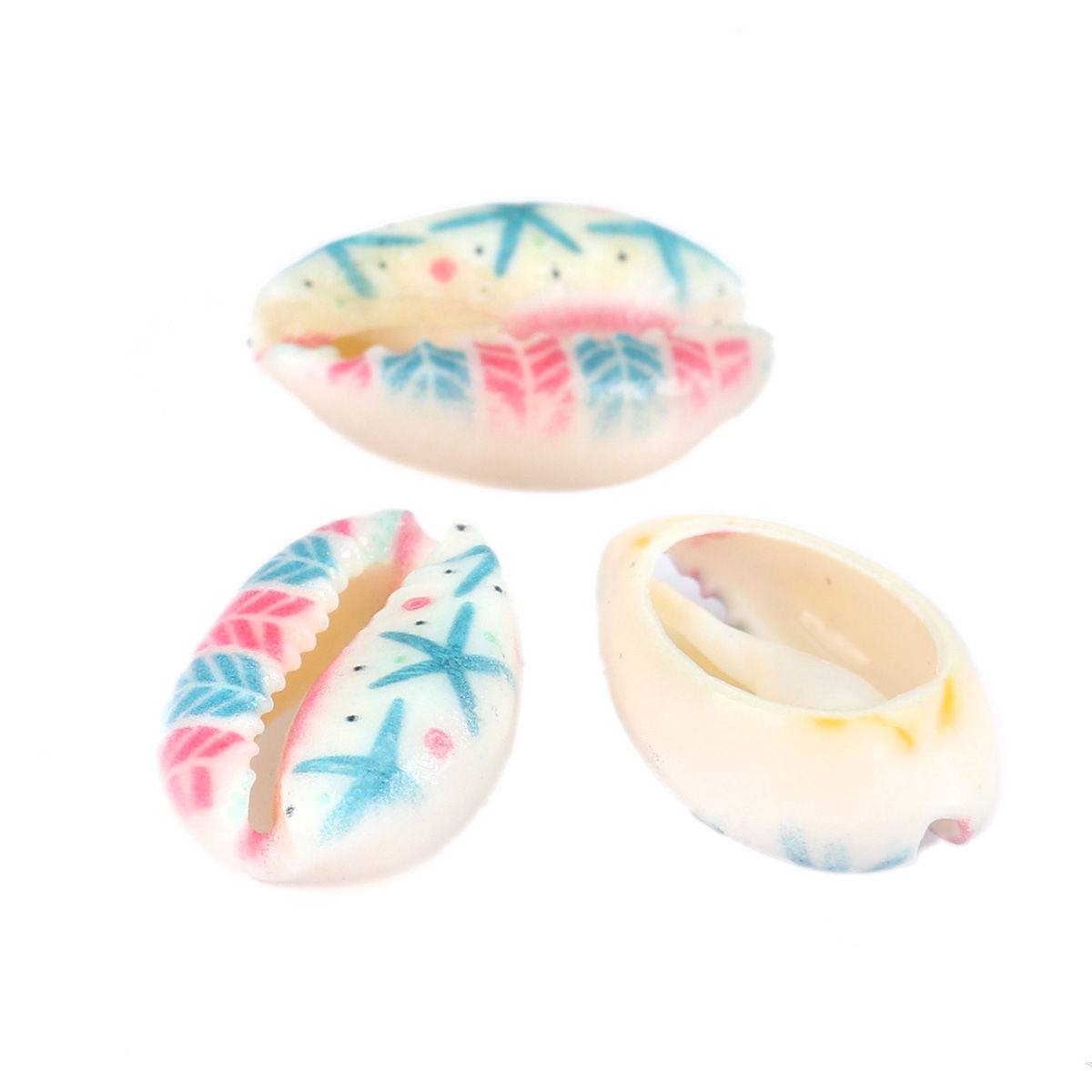 Picture of Natural Shell Loose Beads Conch/ Sea Snail Multicolor Starfish Pattern About 20mm x 13mm-16mm x 12mm, 10 PCs