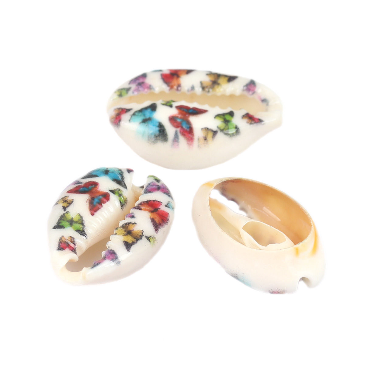 Picture of Natural Shell Loose Beads Conch/ Sea Snail Multicolor Butterfly Pattern About 25mm x 17mm-18mm x 14mm, 10 PCs