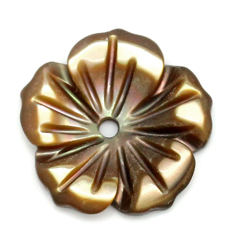Bild von 4 Stück Natürliche Muschel Perlen zur DIY-Schmuckherstellung Blumen Kaffeebraun 12mm x 12mm, Loch:ca. 1mm
