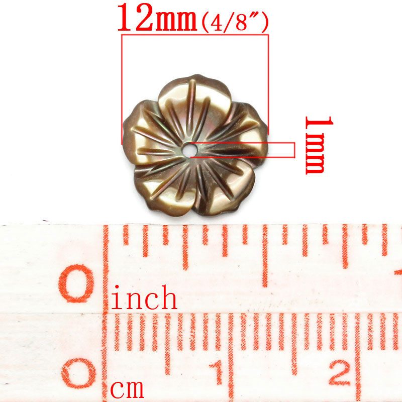 Bild von 4 Stück Natürliche Muschel Perlen zur DIY-Schmuckherstellung Blumen Kaffeebraun 12mm x 12mm, Loch:ca. 1mm