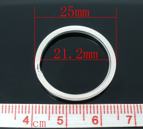 Picture of Iron Based Alloy Keychain & Keyring Round Silver Tone 25mm Dia, 20 PCs