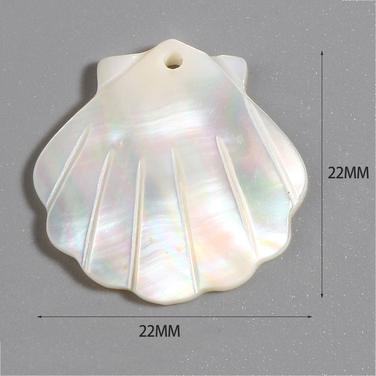 Bild von Natur Muschel Charms Jakobsmuschel Grauweiß 22mm x 22mm, 2 Stück