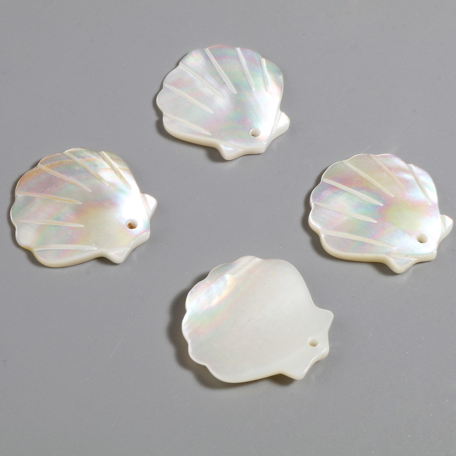 Bild von Natur Muschel Charms Jakobsmuschel Grauweiß 22mm x 22mm, 2 Stück