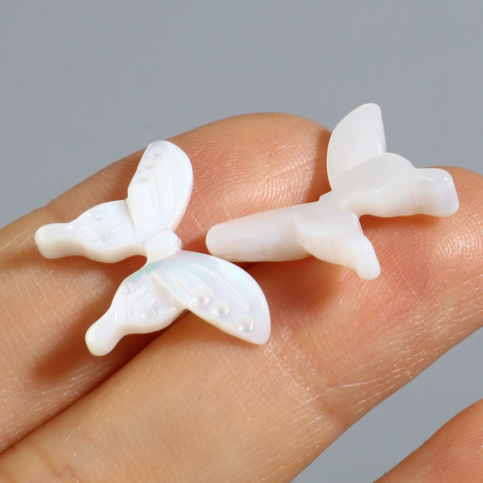 Picture of Insect Natural Shell Loose Beads Butterfly Animal White About 20mm x 14mm, Hole:Approx 0.7mm, 1 Piece