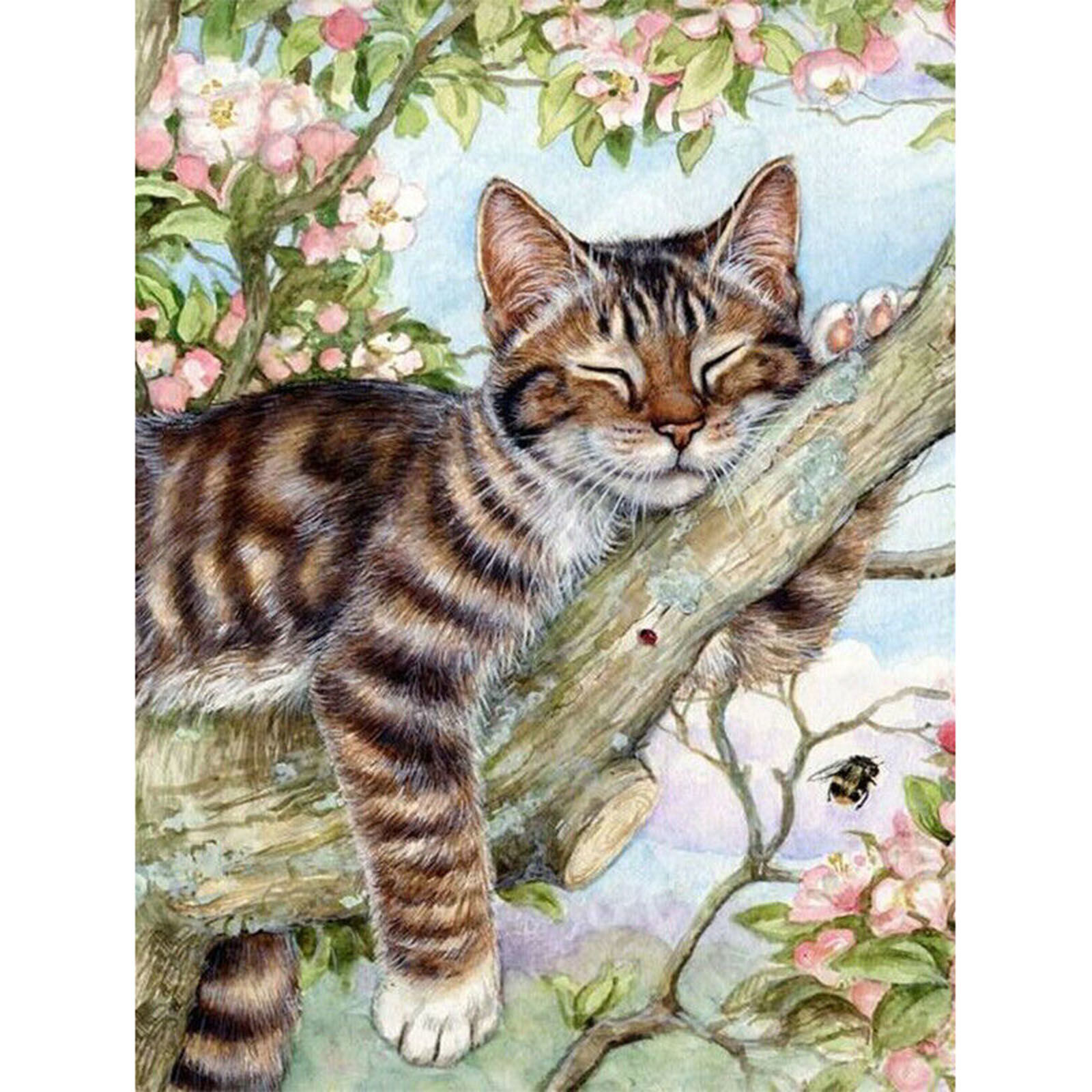 Picture of Resin Embroidery DIY Kit Diamond Painting Rhinestone Multicolor Rectangle Cat 50cm x 40cm, 1 Piece