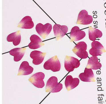 Picture of Real Dried Flower Resin Jewelry DIY Making Craft Rose Flower Heart