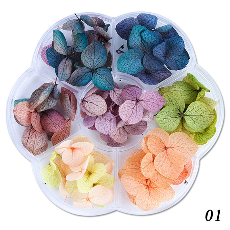 Imagen de Real Dried Flower Nail Art Decoration DIY Craft