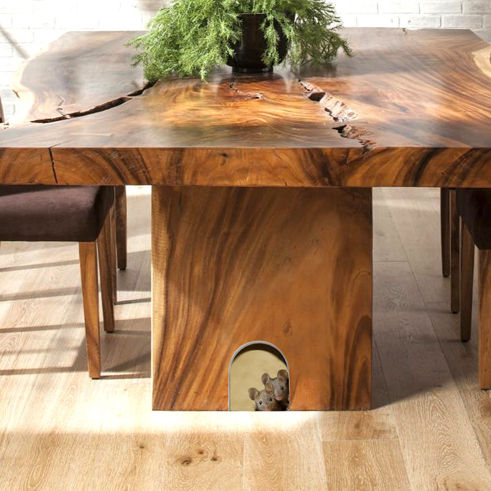 Image de Film en PVC pour Fenêtre en Verre Stickers Muraux Décoration de La Maison Rat Souris Trou