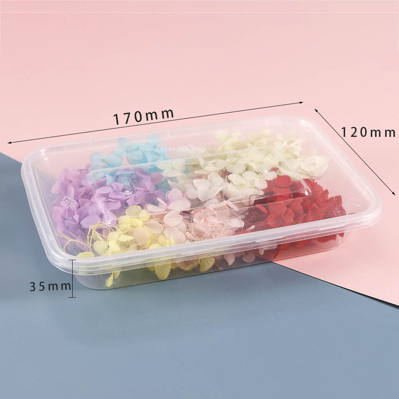 Picture of Dried Flower Decoration Multicolor 17cm x 12cm, 1 Packet