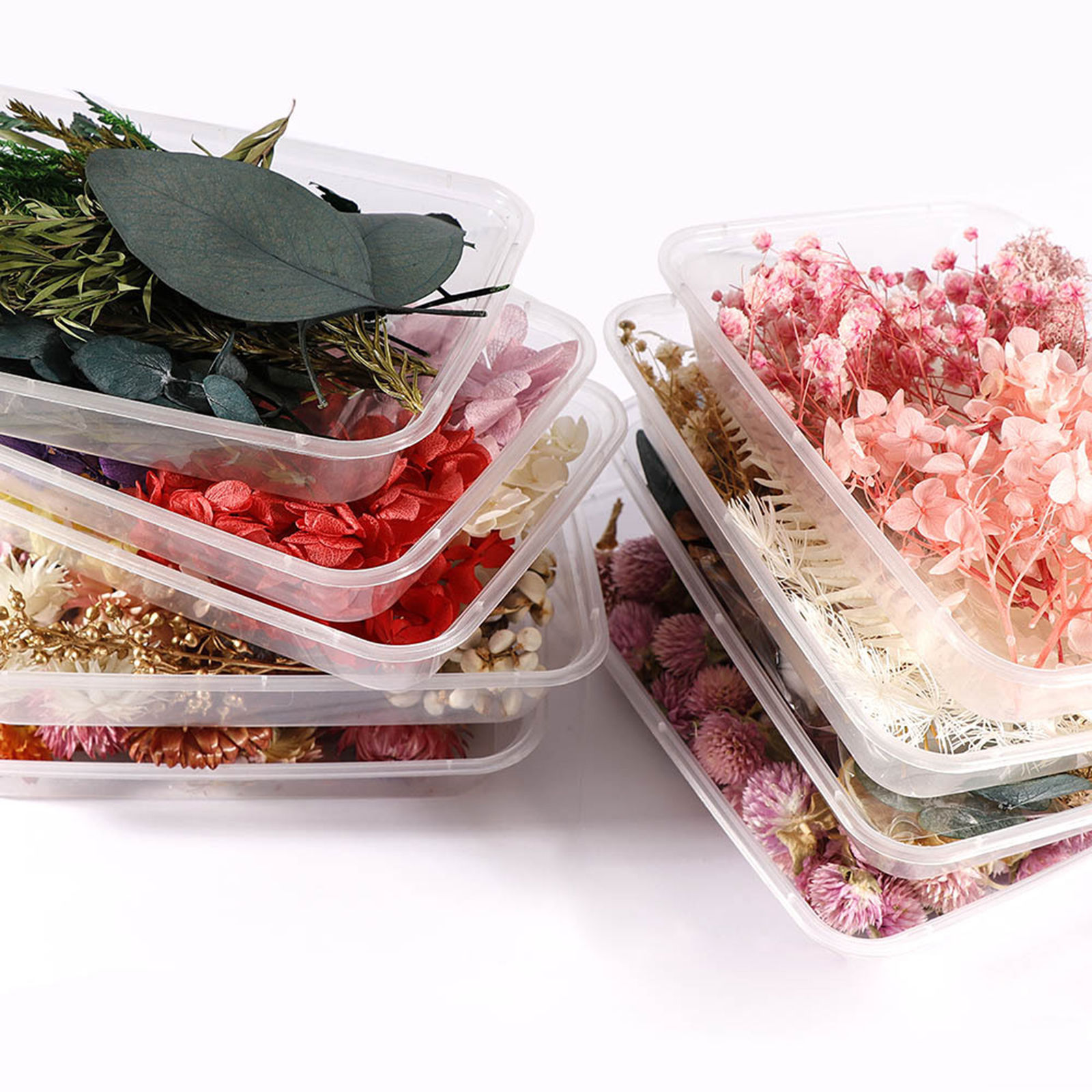 Picture of Dried Flower Decoration Multicolor 17cm x 12cm, 1 Packet