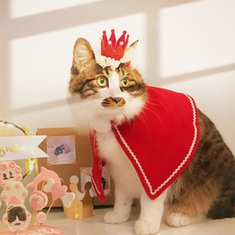 Picture of Christmas Pet Cat Dog Clothes New Year Dress Up Cosplay Costume