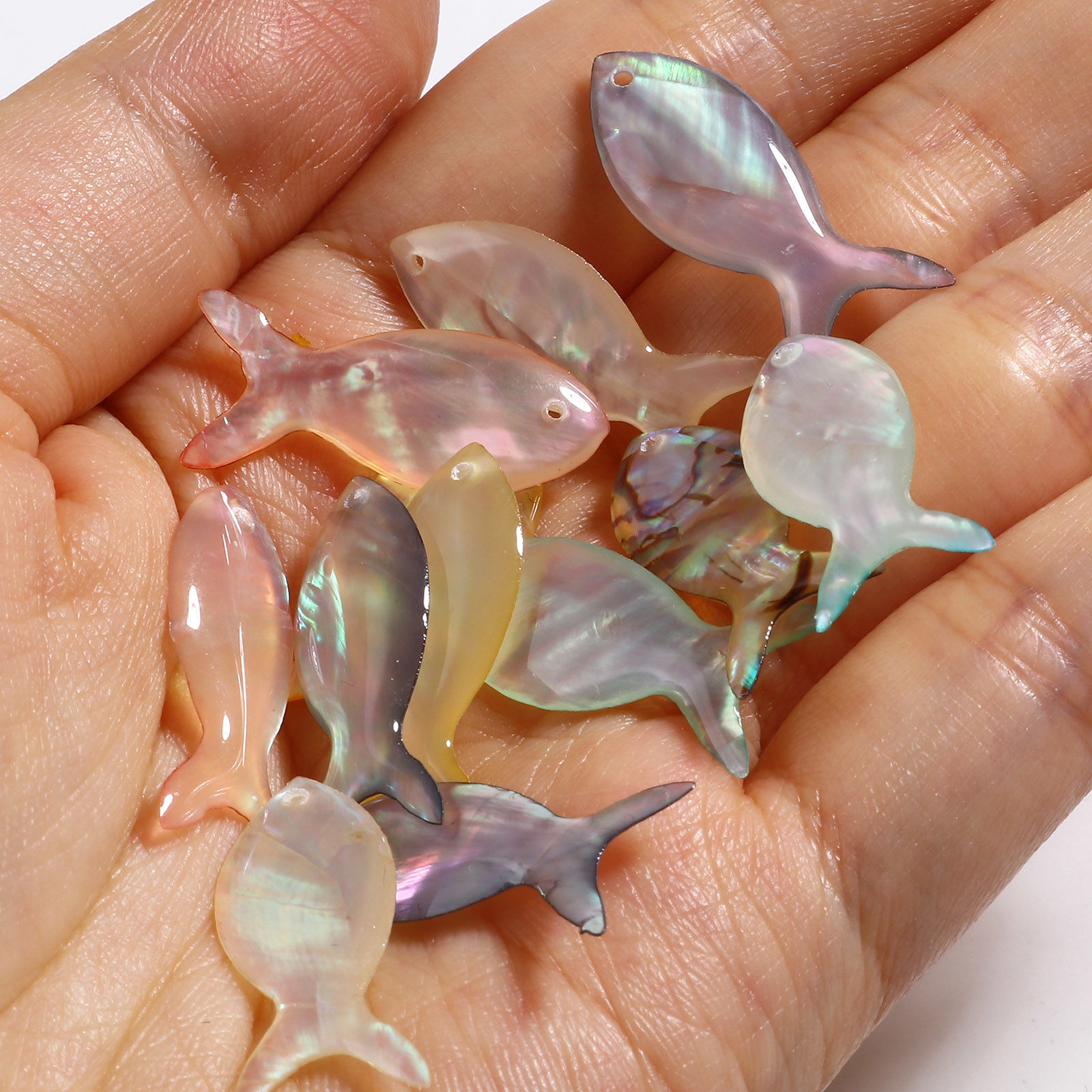 Bild von Natur Muschel Ozean Schmuck Charms Fisch Bunt 25mm x 10mm, 2 Stück