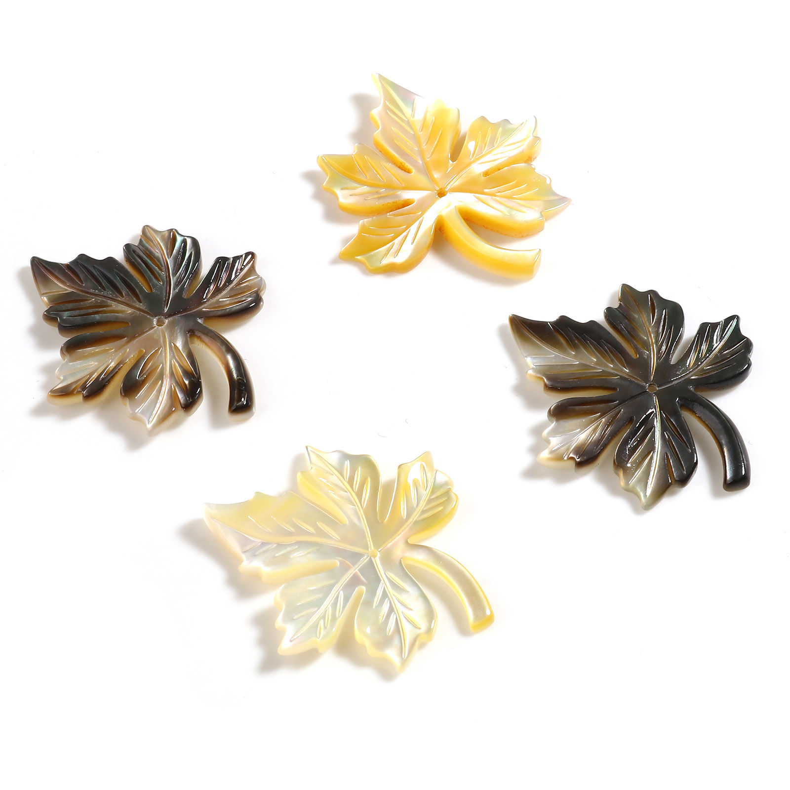Bild von Natur Muschel Anhänger Ahornblatt Bunt 30mm x 25mm, 1 Stück