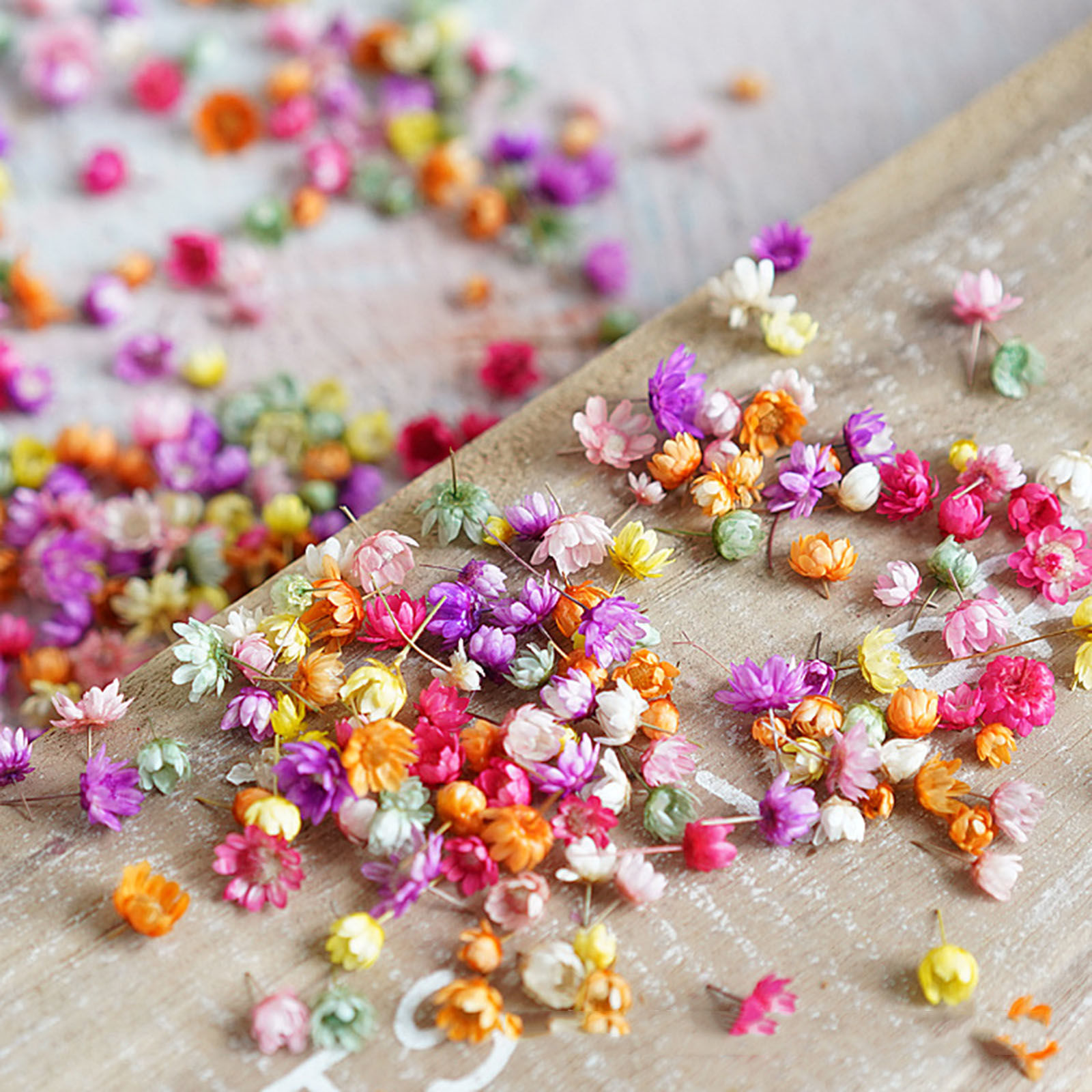Picture of Real Dried Flower Resin Jewelry Craft Filling Material Multicolor 1 Packet