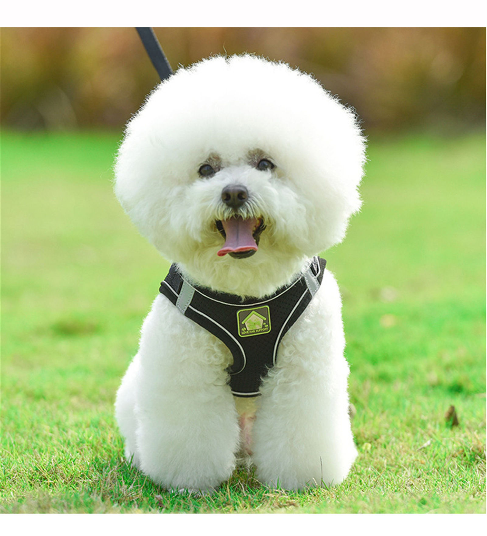 Picture of Mesh Fabric Pet Vest Chest Strap Traction Rope Leash Harness 1 Piece