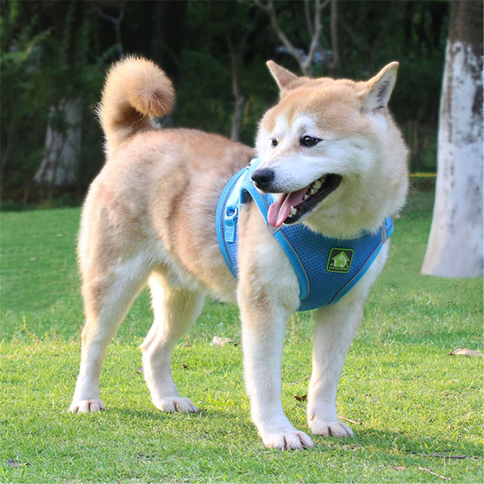 Picture of Mesh Fabric Pet Vest Chest Strap Traction Rope Leash Harness 1 Piece