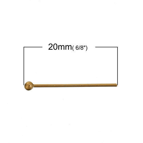 Picture of (21 gauge) Zinc Based Alloy Pins 14K Gold Color 20mm( 6/8") long, 50 PCs