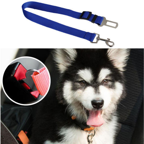 Picture of Polyester Dog Leash Traction Rope Pet Products Adjustable Blue 67.5cm(26 5/8"), 1 Piece