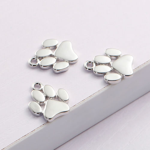 Image de 2 Pcs Breloques Mémorial d'Animaux Domestiques en Laiton Argent Mat Empreinte de Patte 17mm x 14mm