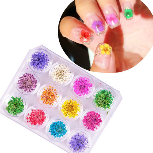 Picture of Real Dried Flower Nail Art Tools Cosmetic Round At Random Mixed 28mm(1 1/8"), 1 Box(36 Pieces/Box)
