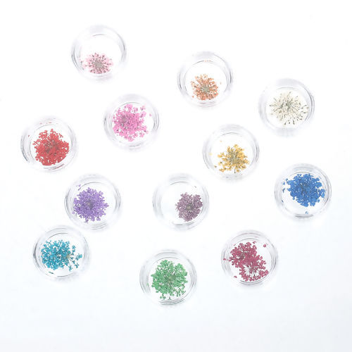 Picture of Real Dried Flower Nail Art Tools Cosmetic Round At Random Mixed 28mm(1 1/8"), 1 Box(36 Pieces/Box)