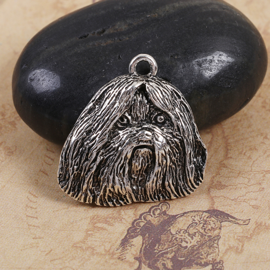 Picture of Zinc Based Alloy Charms Shih Tzu Dog Animal Antique Silver Color 28mm(1 1/8") x 28mm(1 1/8"), 5 PCs