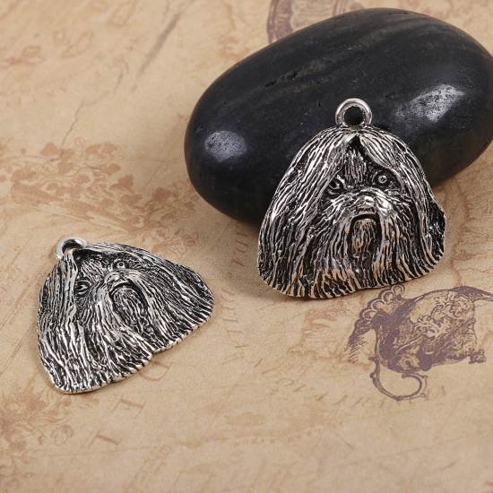 Picture of Zinc Based Alloy Charms Shih Tzu Dog Animal Antique Silver Color 28mm(1 1/8") x 28mm(1 1/8"), 5 PCs