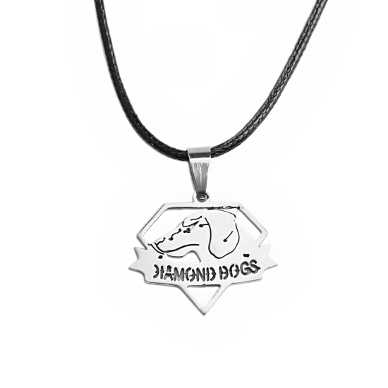 Imagen de Titanio Acero Collares Tono de Plata Perro 45cm longitud, 1 Unidad