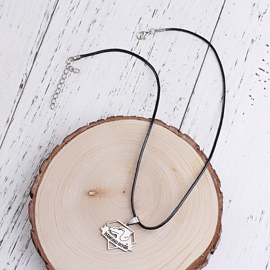 Imagen de Titanio Acero Collares Tono de Plata Perro 45cm longitud, 1 Unidad