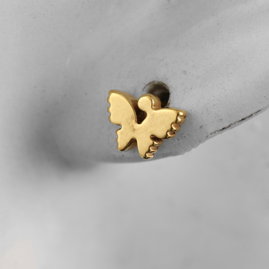 Picture of Stainless Steel Ear Post Stud Earrings Gold Plated Butterfly Animal 9mm( 3/8") x 7mm( 2/8"), Post/ Wire Size: (20 gauge), 1 Pair