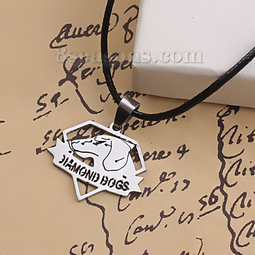 Imagen de Titanio Acero Collares Tono de Plata Perro 45cm longitud, 1 Unidad