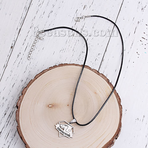 Imagen de Titanio Acero Collares Tono de Plata Perro 45cm longitud, 1 Unidad