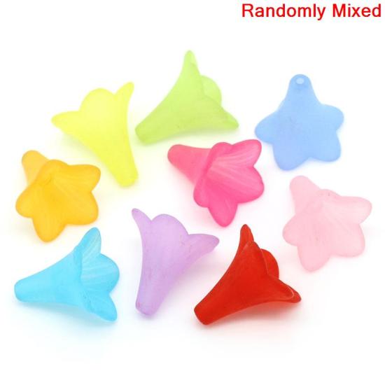 Picture of Frosted Acrylic Beads Lucite Lily Flower At Random Mixed About 22mm x 21mm, Hole: Approx 1.8mm, 50 PCs