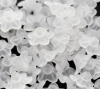 Imagen de Cuentas Acrílico Flor del lirio Lucite,Blanco 10mm x 4mm, Agujero: acerca de 1.2mm, 800 Unidades