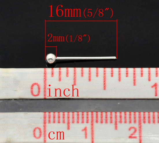 真鍮 ボルピン 銀メッキ 16.0mm長さ、 0.5mm(ゲージ)、 500 PCs                                                                                                                                                                                                                     の画像