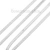 Picture of Stainless Steel Snake Chain Silver Tone 2.5mm( 1/8"), 3 M