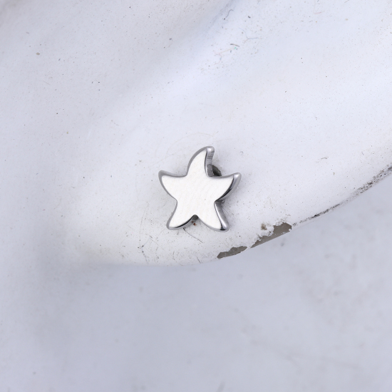 Immagine di 304 Acciaio Inossidabile Orecchini a Perno Tono Argento Stella di Mare 7mm x 7mm, Posta / Filo Dimensione: (21 misura), 1 Paio