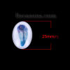 Изображение Стеклянные Газоплотный Кабошон Овальные, Случайно с Узором Перо 25мм x 18мм, 10 ШТ