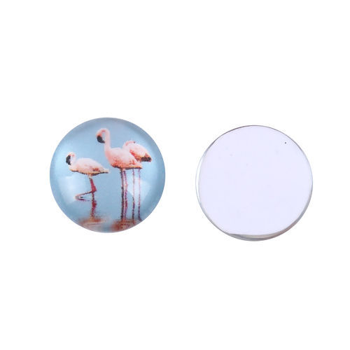 Bild von Glas Dom Cabochon Verzierung Rund Platt Blau Flamingo Muster 12mm D., 10 Stück