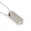 Image de Colliers en 304 Acier Inoxydable Urne Funéraire de Crémation Argent Mat Rectangle Transparent Strass 44.5cm Long, 1 Pièce