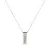 Imagen de 304 Acero Inoxidable Cremación Pet Ash Urn Collares Tono de Plata Rectángulo Transparente Rhinestone 44.5cm longitud, 1 Unidad
