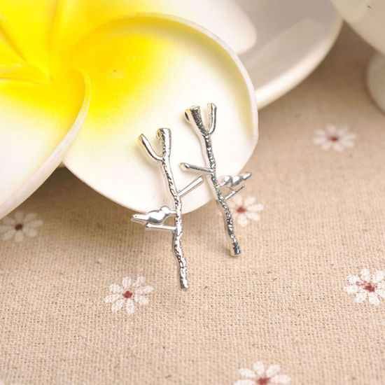 Picture of Ear Post Stud Earrings Silver Plated Branch Bird 30mm(1 1/8") x 12mm( 4/8"), Post/ Wire Size: (21 gauge), 1 Pair