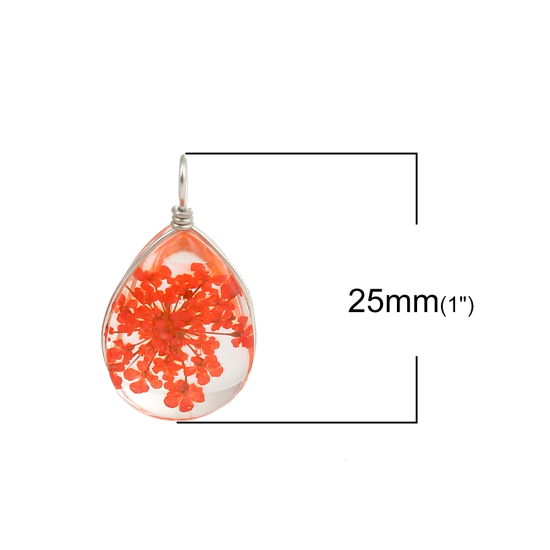 Picture of Real Dried Flower Transparent Glass Globe Bubble Bottle Charms Drop Orange-red 25mm(1") x 13mm( 4/8"), 2 PCs