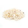 Picture of Natural Shell Loose Chip Beads(No Hole) Irregular White About 10mm x6mm - 4mm x3mm, 500 Grams