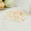 Picture of Natural Shell Loose Chip Beads(No Hole) Irregular White About 10mm x6mm - 4mm x3mm, 500 Grams