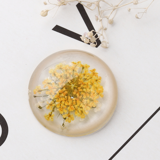 Picture of Resin Dome Seals Cabochon Round Orange Dried Flower Pattern Transparent 25mm(1") Dia, 10 PCs