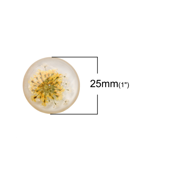 Picture of Resin Dome Seals Cabochon Round Orange Dried Flower Pattern Transparent 25mm(1") Dia, 10 PCs